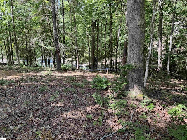 102 Sun Dew Ct, Sunset, SC 29685