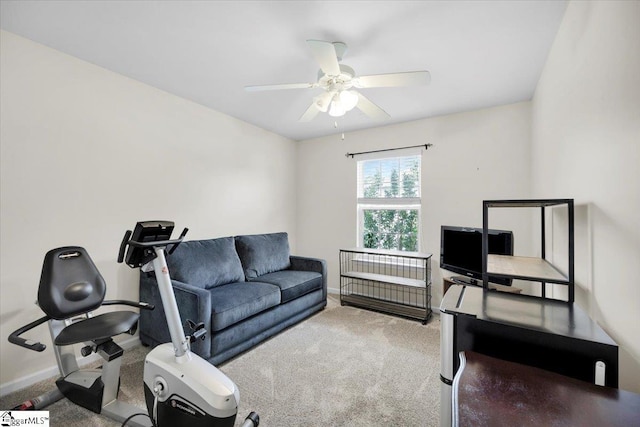 101 Roberts Hill Dr, Taylors, SC 29687 - workout area featuring carpet floors, ceiling fan, and baseboards