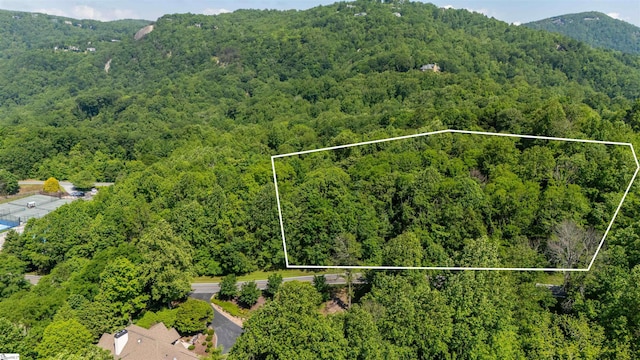 33 Raptor Way, Landrum, SC 29356