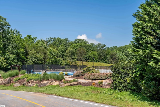 33 Raptor Way, Landrum, SC 29356
