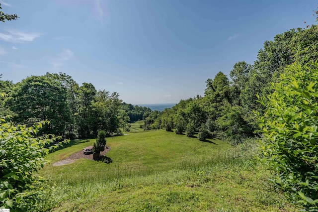 33 Raptor Way, Landrum, SC 29356