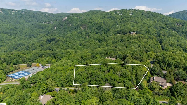 33 Raptor Way, Landrum, SC 29356