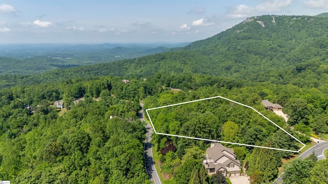 33 Raptor Way, Landrum, SC 29356