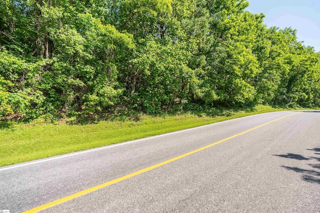 33 Raptor Way, Landrum, SC 29356