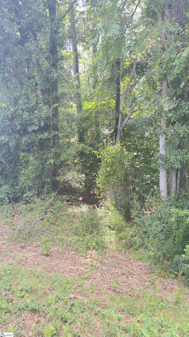 162 Stoneridge Dr, Chesnee, SC 29323