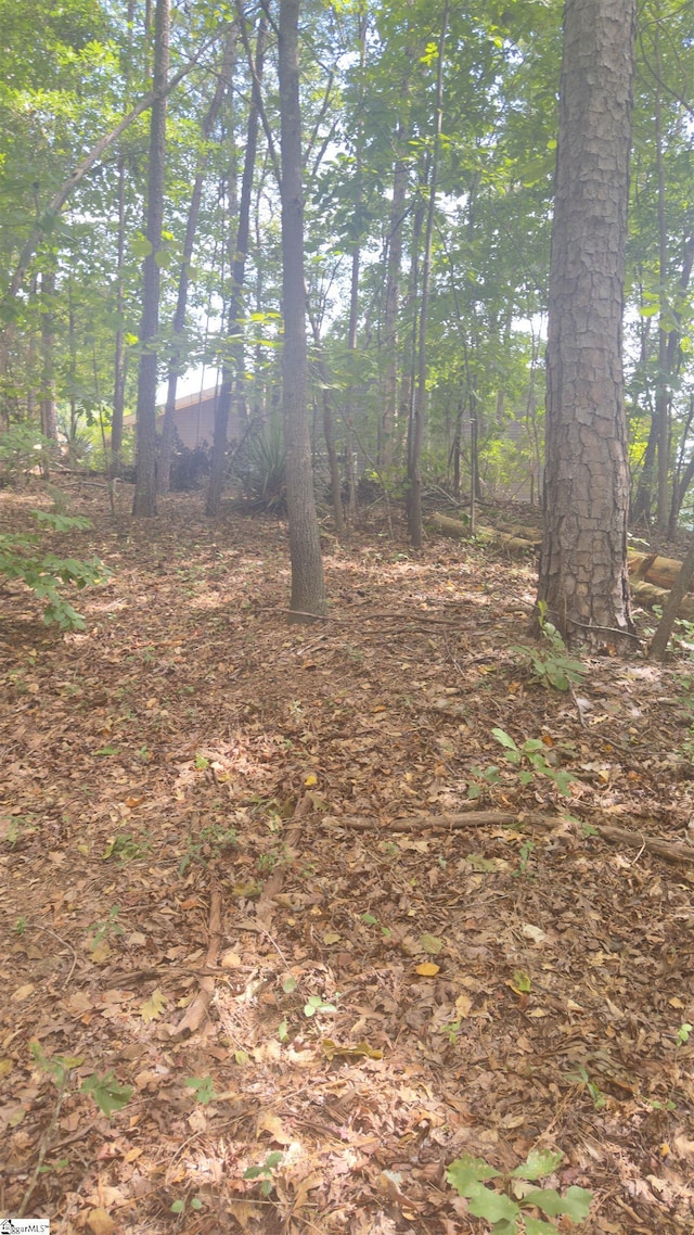 162 Stoneridge Dr, Chesnee, SC 29323