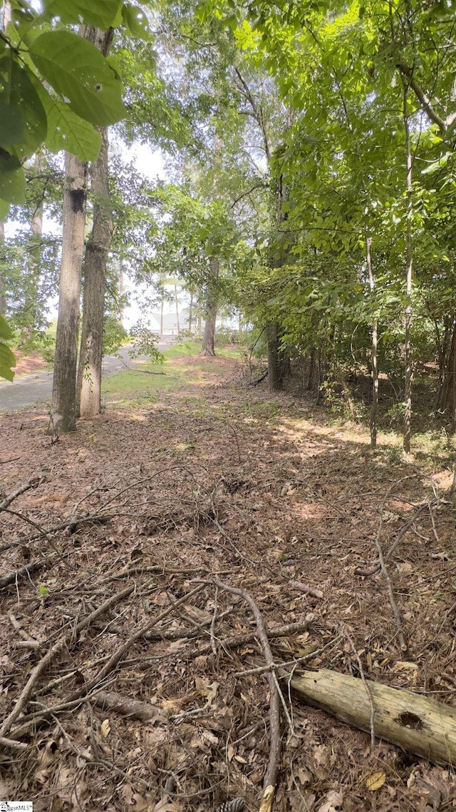 162 Stoneridge Dr, Chesnee, SC 29323