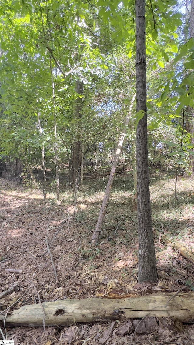 162 Stoneridge Dr, Chesnee, SC 29323