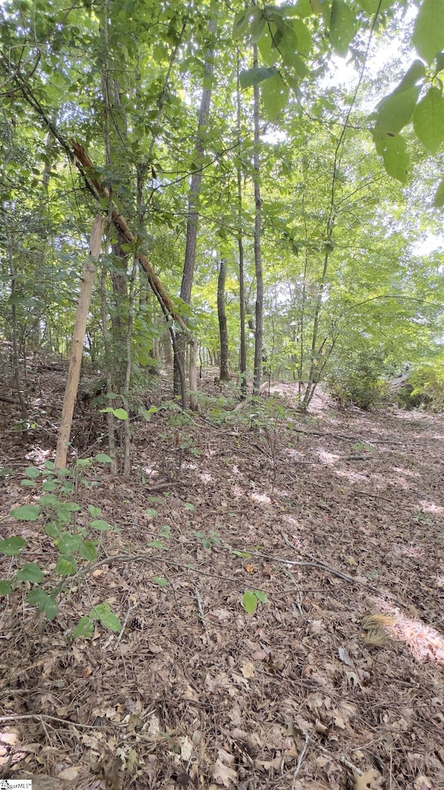 162 Stoneridge Dr, Chesnee, SC 29323