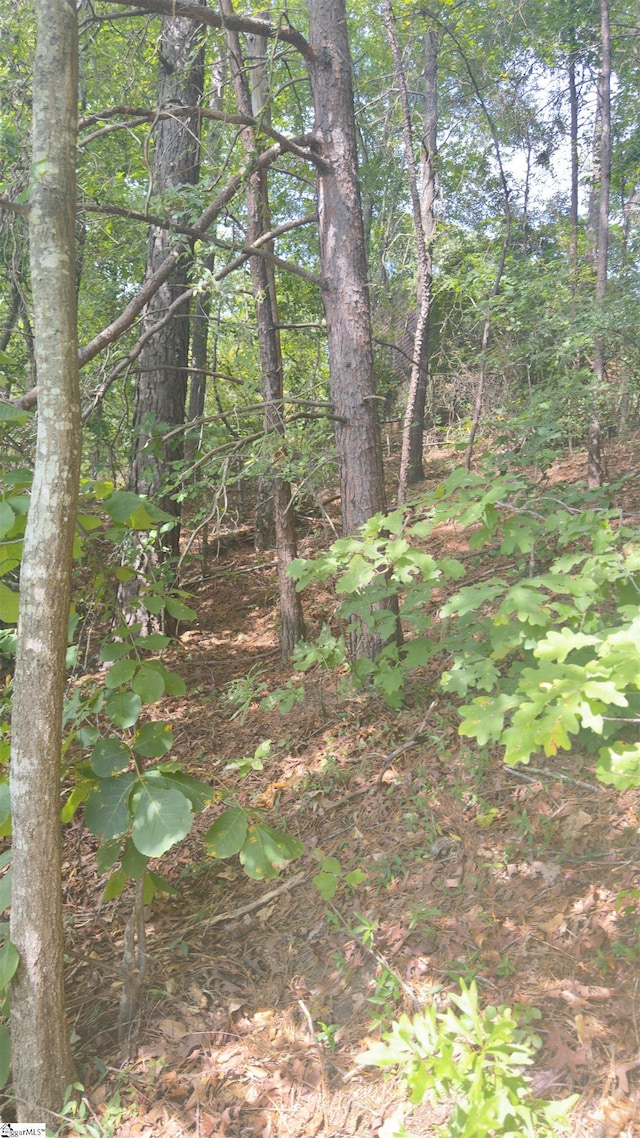 162 Stoneridge Dr, Chesnee, SC 29323
