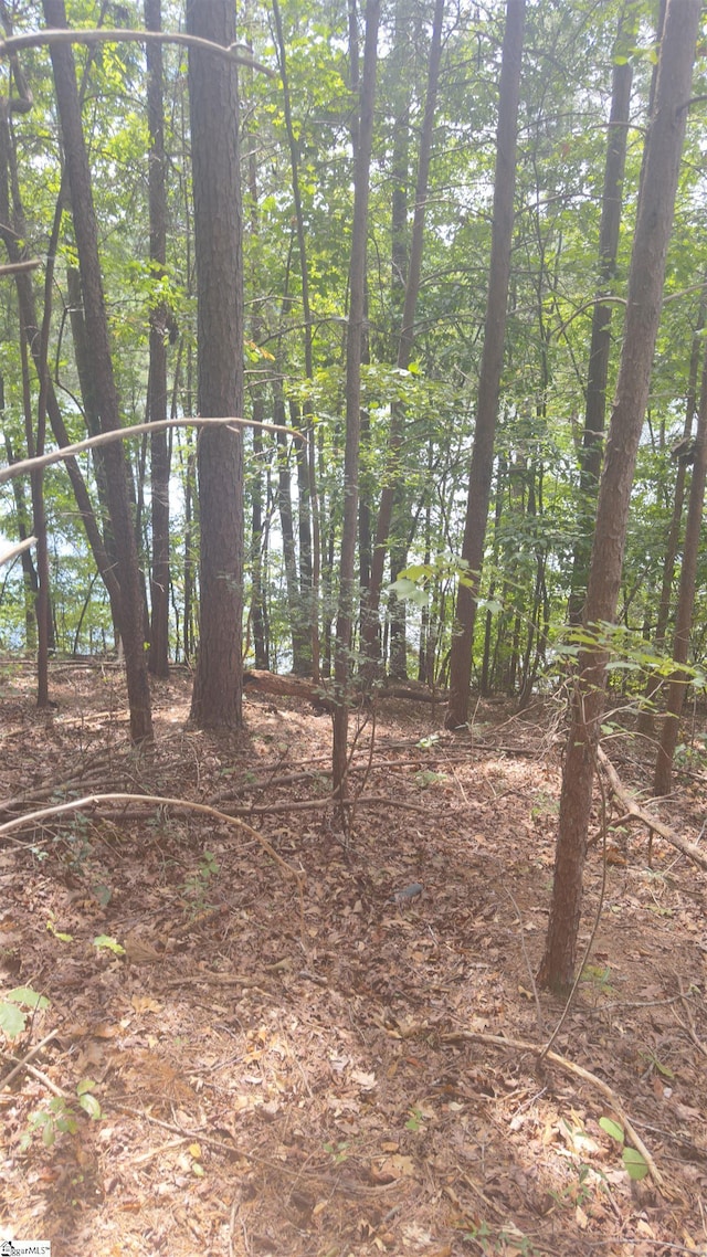 162 Stoneridge Dr, Chesnee, SC 29323