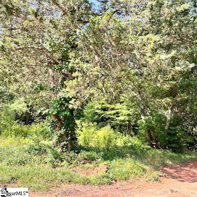 3508 State Park Rd, Greenville, SC 29609