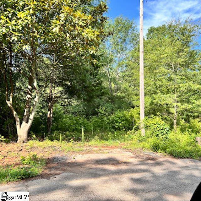 3508 State Park Rd, Greenville, SC 29609