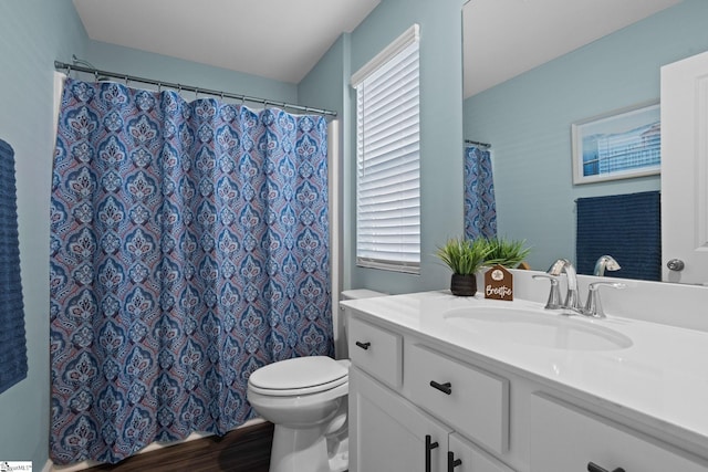 224 Anna Gray Cir, Easley, SC 29640 - bathroom with vanity, toilet, wood finished floors, and a shower with shower curtain