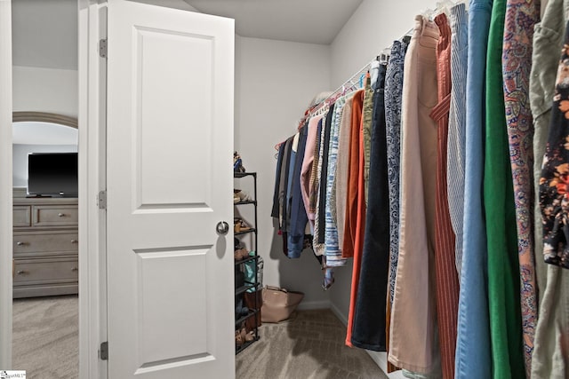 224 Anna Gray Cir, Easley, SC 29640 - walk in closet with carpet