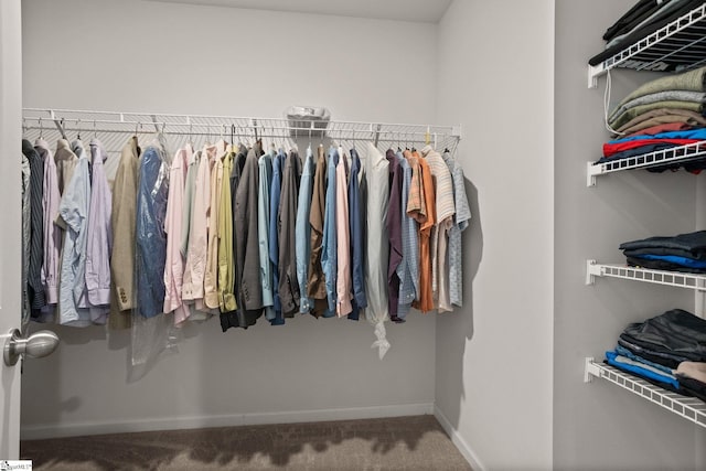 224 Anna Gray Cir, Easley, SC 29640 - spacious closet featuring carpet flooring