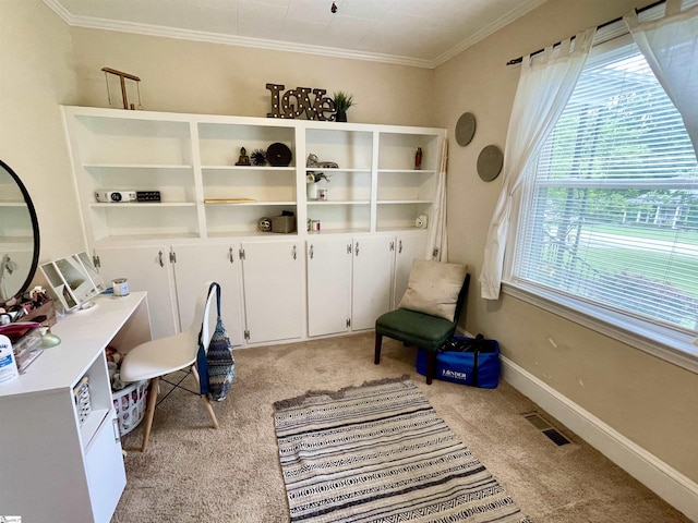 206 Caldwell St, Clinton, SC 29325 - unfurnished office with light carpet, ornamental molding, and baseboards