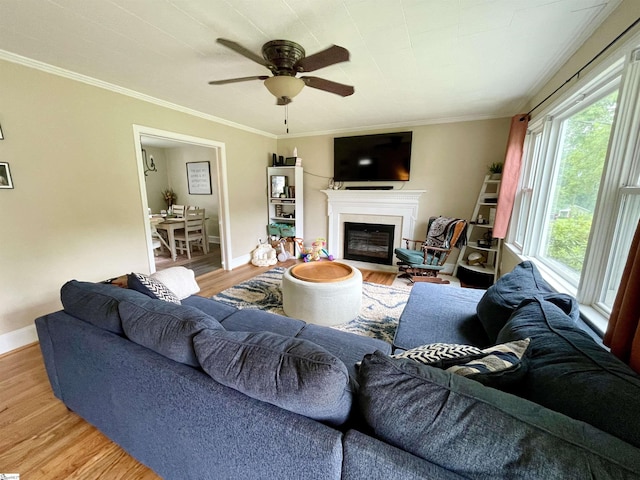 206 Caldwell St, Clinton, SC 29325 - living room with wood finished floors, healthy amount of natural light, ceiling fan, a fireplace with flush hearth, and ornamental molding