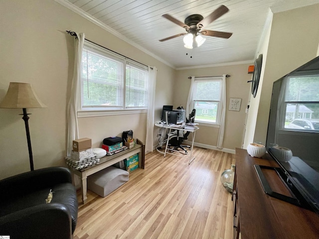 206 Caldwell St, Clinton, SC 29325 - office area with light wood-style floors, ornamental molding, and a ceiling fan
