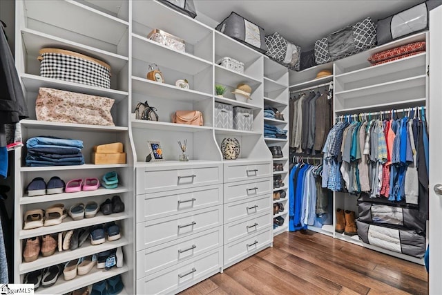 79 Modesto Ln, Simpsonville, SC 29681 - walk in closet featuring wood finished floors
