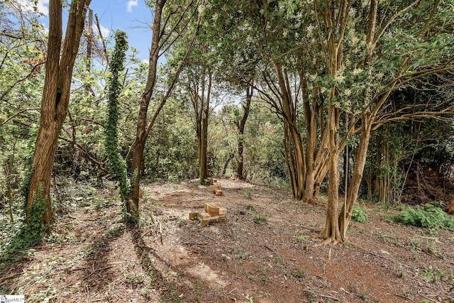 3401 Comanche St, Anderson, SC 29626 - view of nature
