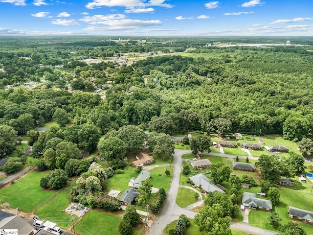 3401 Comanche St, Anderson, SC 29626 - drone / aerial view of a forest