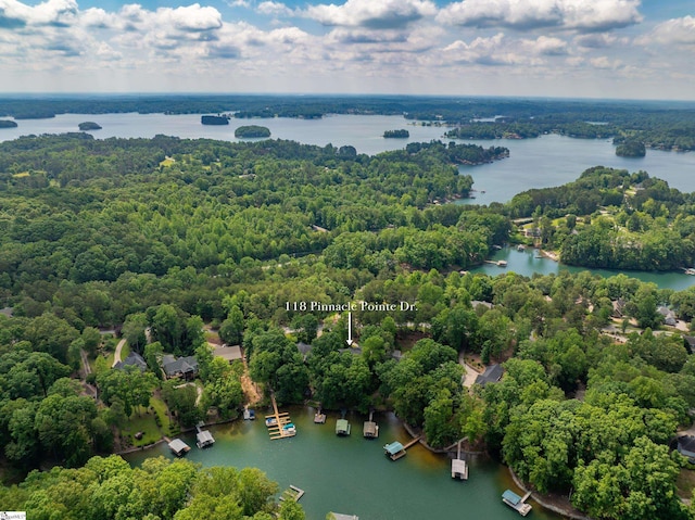 118 Pinnacle Pointe Dr, Seneca, SC 29672 - aerial view of a large body of water and a heavily wooded area