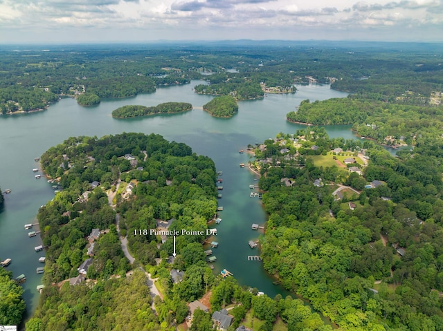 118 Pinnacle Pointe Dr, Seneca, SC 29672 - bird's eye view of a nearby body of water and a heavily wooded area
