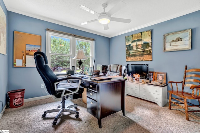 203 Ponder Rd, Greer, SC 29651 - office featuring ornamental molding, ceiling fan, a textured ceiling, and carpet flooring