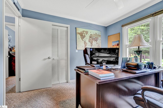 203 Ponder Rd, Greer, SC 29651 - office area with ornamental molding and carpet floors