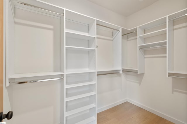 18 Nordic Ln, Greenville, SC 29609 - walk in closet with light wood-style flooring