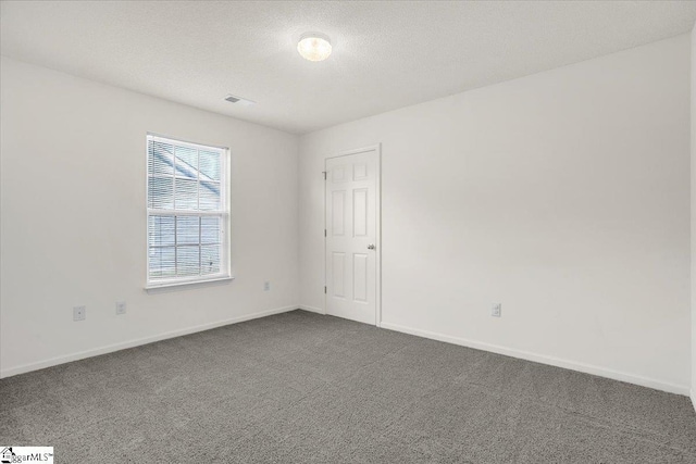 2013 Small Meadows Ct, Fountain Inn, SC 29644 - unfurnished room featuring dark carpet and a textured ceiling