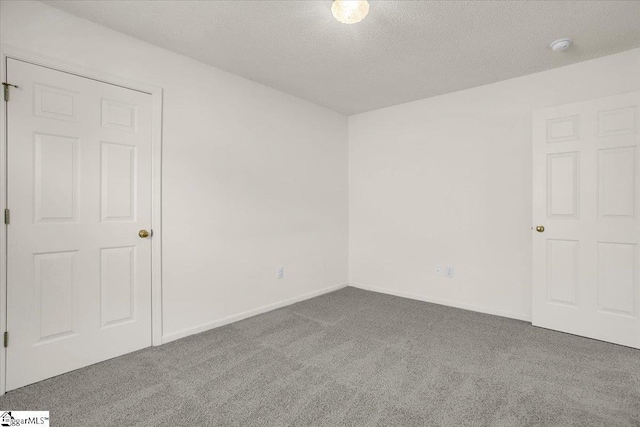2013 Small Meadows Ct, Fountain Inn, SC 29644 - spare room with carpet flooring, a textured ceiling, and a smoke detector