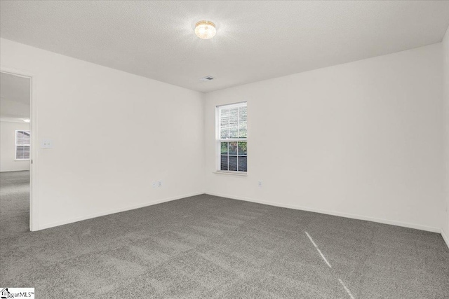 2013 Small Meadows Ct, Fountain Inn, SC 29644 - carpeted empty room featuring a textured ceiling and baseboards