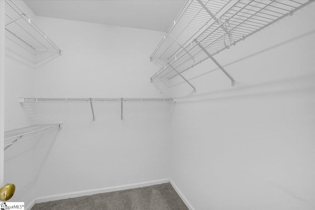 2013 Small Meadows Ct, Fountain Inn, SC 29644 - spacious closet featuring carpet flooring