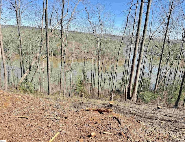 712 Buck Creek Rd, Chesnee, SC 29323