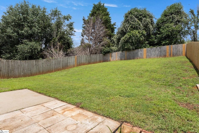 310 W Bushy Hill Dr, Duncan, SC 29334 - fenced backyard featuring a patio