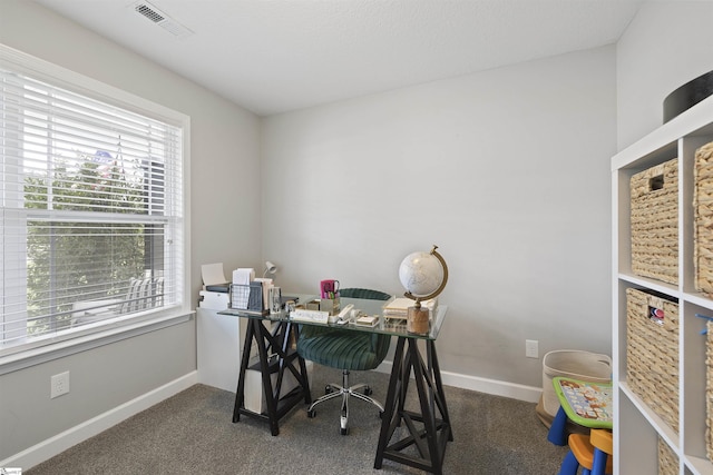 257 Highland Springs Loop, Inman, SC 29349 - home office featuring plenty of natural light and carpet floors