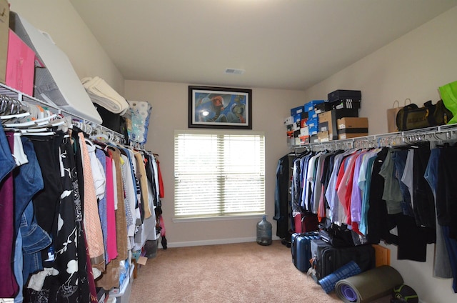 108 Dillard Creek Ct, Greer, SC 29651 - walk in closet with carpet floors