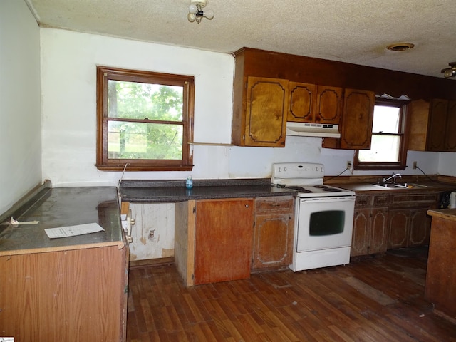 218 Wingo Rd, Wellford, SC 29385 - kitchen with white electric range oven, under cabinet range hood, dark wood-type flooring, a textured ceiling, and brown cabinets