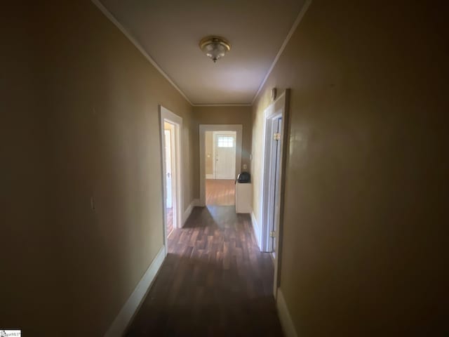 719 Chestnut St, Laurens, SC 29360 - corridor with crown molding and dark wood-style flooring