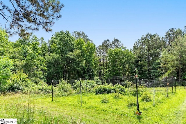 2115 Price House Rd, Woodruff, SC 29388 - view of woods