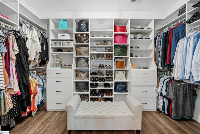 217 Holstein Ct, Fountain Inn, SC 29644 - walk in closet with wood finished floors