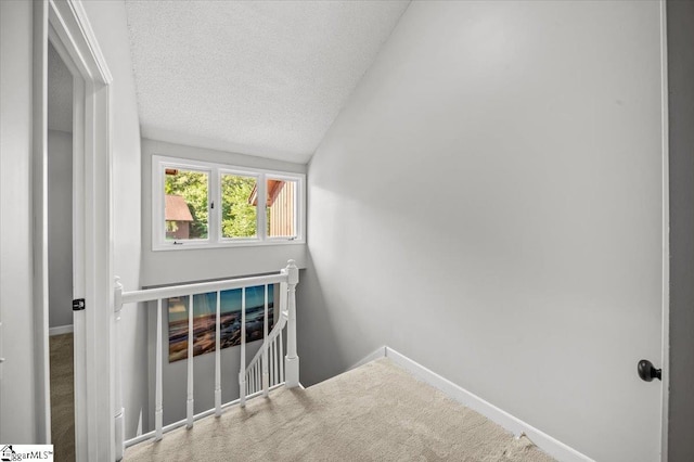 2 Creekside Way, Greenville, SC 29609 - staircase with vaulted ceiling, carpet, and a textured ceiling