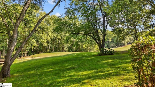 2 Creekside Way, Greenville, SC 29609 - view of grassy yard