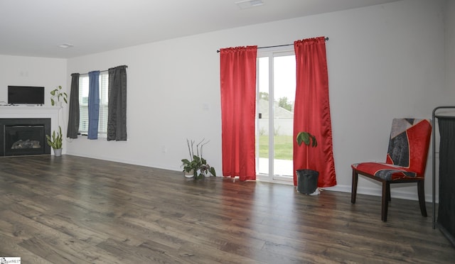 1421 Trotting Ave, Roebuck, SC 29376 - unfurnished living room featuring plenty of natural light, wood finished floors, and a glass covered fireplace