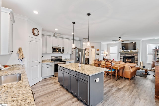 27 Mossycup Rd, Taylors, SC 29687 - kitchen featuring stainless steel appliances, gray cabinets, a ceiling fan, a stone fireplace, and light wood finished floors