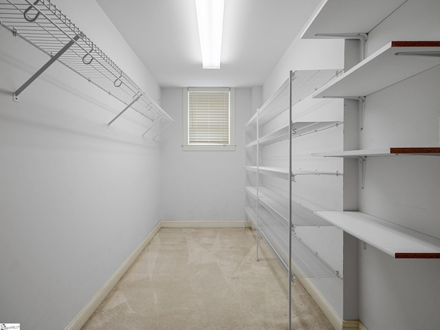 772 Glendalyn Ave, Spartanburg, SC 29302 - walk in closet with carpet
