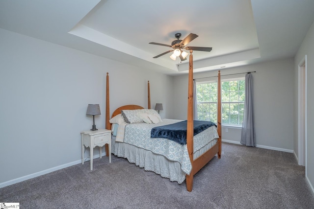 112 Pendock Ln, Piedmont, SC 29673 - carpeted bedroom with a raised ceiling and a ceiling fan
