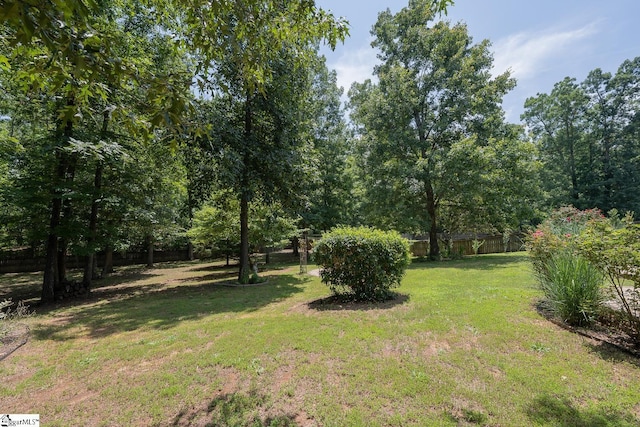 112 Pendock Ln, Piedmont, SC 29673 - view of yard